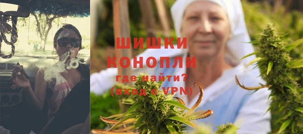 твердый Новозыбков