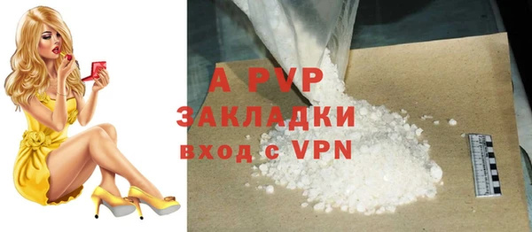 твердый Новозыбков