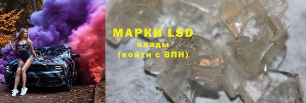 spice Новодвинск
