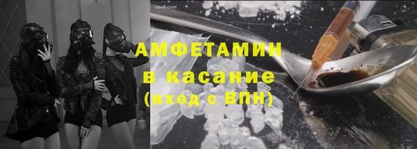 твердый Новозыбков