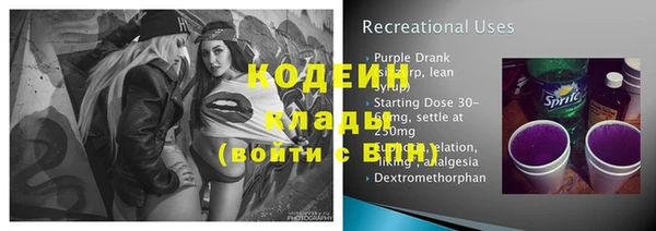 твердый Новозыбков