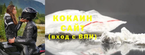 твердый Новозыбков
