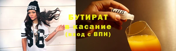 твердый Новозыбков