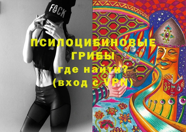 spice Новодвинск