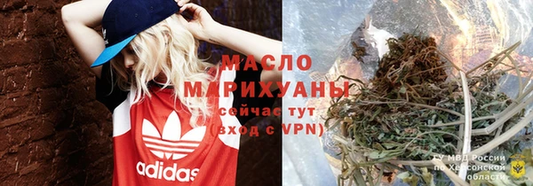 твердый Новозыбков