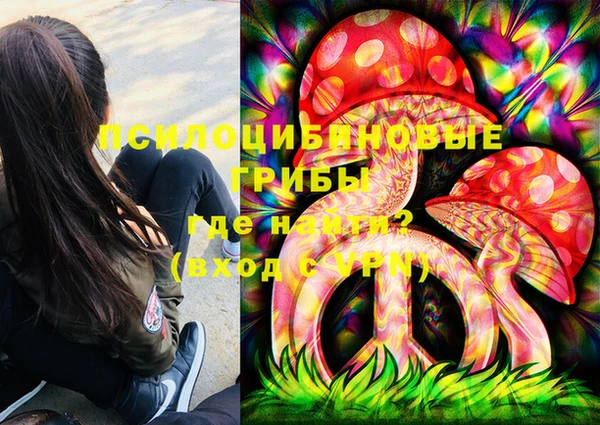 spice Новодвинск
