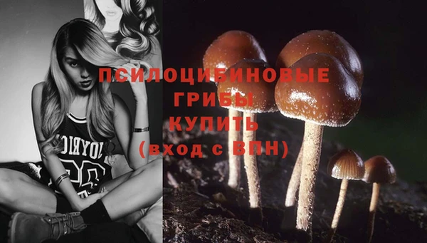 каннабис Новокубанск
