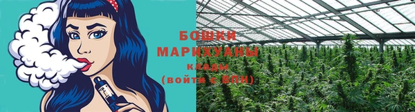 каннабис Новокубанск
