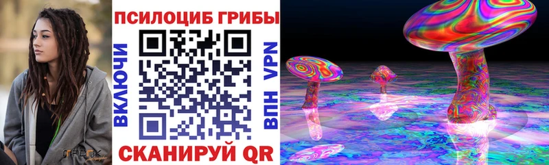 хочу наркоту  Котельниково  Галлюциногенные грибы Magic Shrooms 